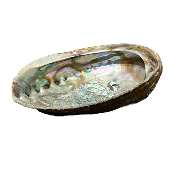 Beautiful Abalone Shell - Trinket Tray {30% off bundled} - Picture 4 of 9